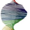 Rainbow wooden garden wind twisters. Ferailles.co.uk