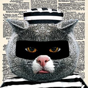 Cat Burglar Card