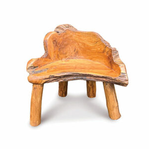 Chunky Teak Root Chair - Small