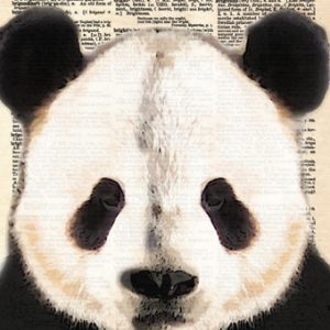 Proper Panda Card