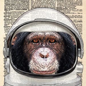 Space Chimp Card