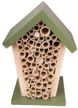 Bee House. Green Roof Top