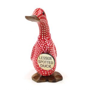 Red Lesser Spotted DUCK