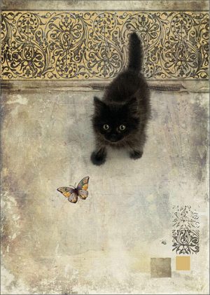 black-kitten-greeting-card
