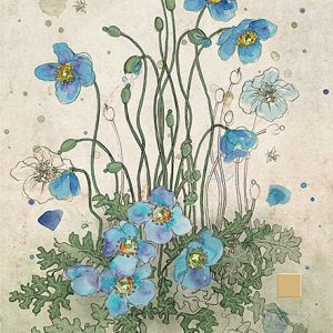 blue-meconopsis-greeting-card