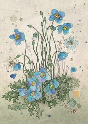 blue-meconopsis-greeting-card