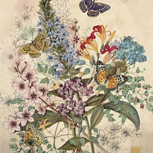 botanical-butterflies-greeting-card