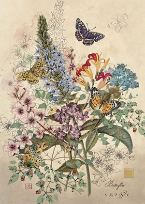 botanical-butterflies-greeting-card