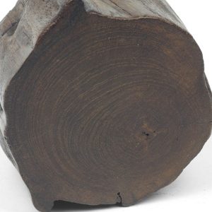 buddha-box-underneath-view-shows-branch-cut-of-wood