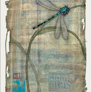 damselfly-greeting-card