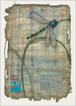 damselfly-greeting-card