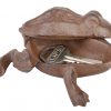 iron-frog-key-keeper-open