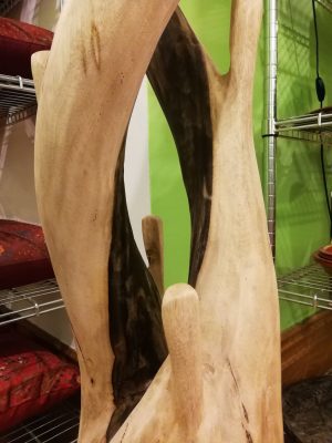 Stripped Double TEAK ROOT STAND