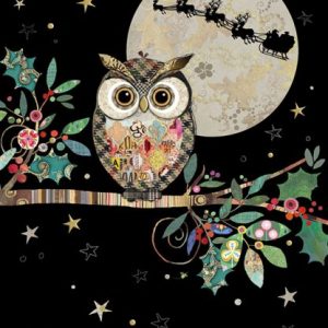 Chrismas Owl - MC049 by Bug Art