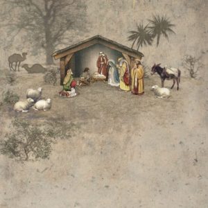Nativity - Bug Art Christmas Card - DC011