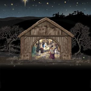 Nativity Stable - MC048 Bug Art by Jane Crowther