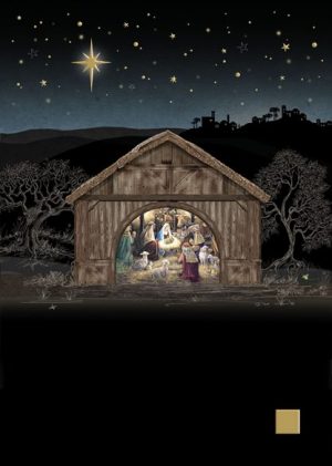 Nativity Stable - MC048 Bug Art by Jane Crowther