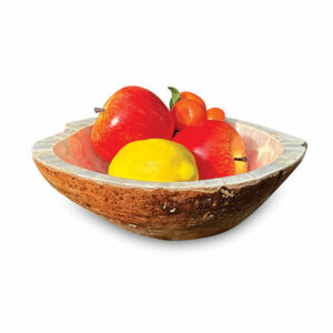 Coconut bowl showing some fruit usage