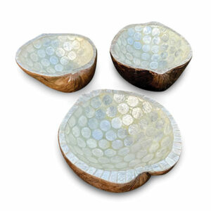 Halved Coconuts with Pearl Lining - Bowls