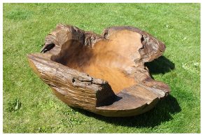 Teak Root Bowl - Gigantic. 100 cm dia