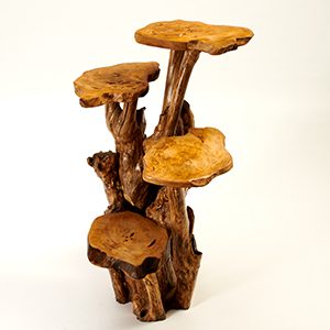 1 Metre Tall - 4 Tier Coffee Wood Tree Stands