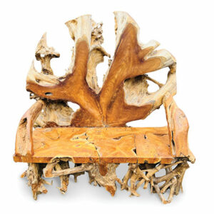 Teak Root Grand Kings Bench