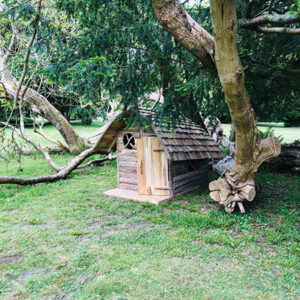 Teak Root Hobbit Home