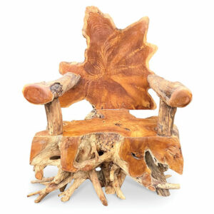 Teak Root Spider Chair