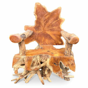 handcarved teak root spider style chair